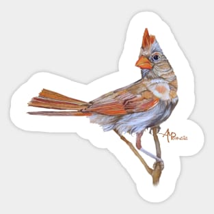 Female Cardinal Sticker